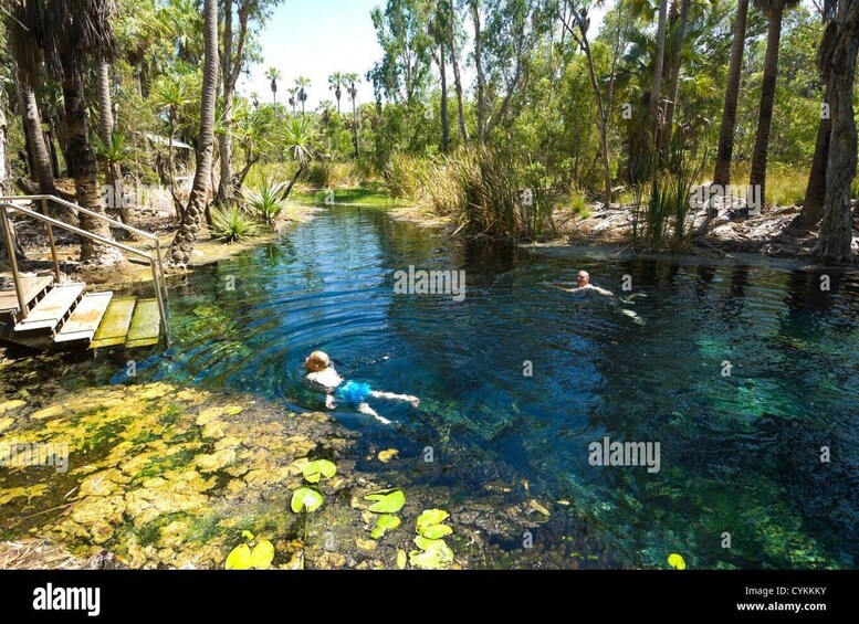 Picture 2 for Activity Katherine Gorge - Mataranka - Edith Falls - Adelaide River