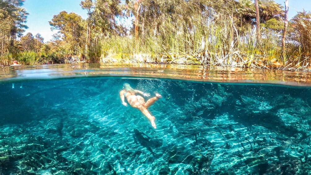 Katherine Gorge - Mataranka - Edith Falls - Adelaide River