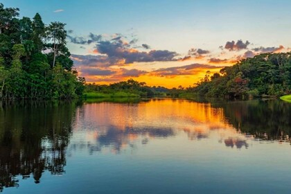 Iquitos : Jungle amazonienne en 2 jours : Aventure et Expédition