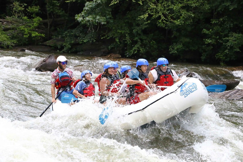 Picture 2 for Activity Middle Ocoee River Whitewater Rafting Trip