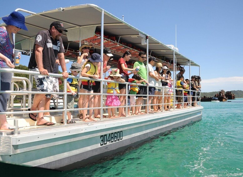 Picture 2 for Activity Brisbane: Tangalooma Marine Discovery Day Cruise Transfers
