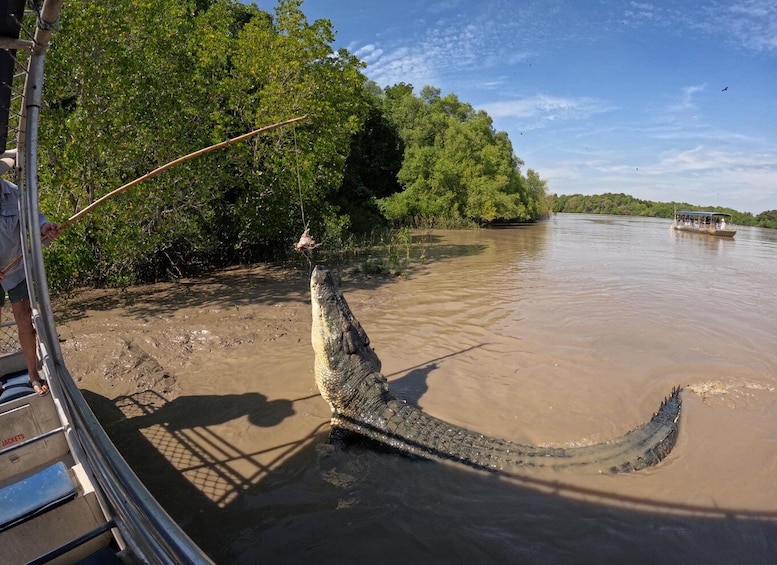 Picture 3 for Activity Darwin: The Croc Bus to the Famous Jumping Crocodile Cruise