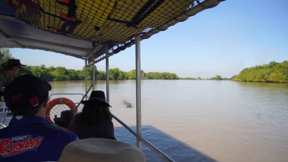 Picture 2 for Activity Darwin: The Croc Bus to the Famous Jumping Crocodile Cruise