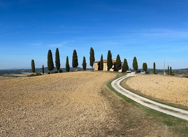 เซียนา: ทัวร์จักรยานพร้อมไกด์ของ Val d'Orcia