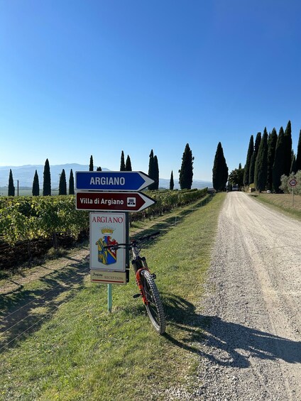 Picture 11 for Activity Siena: Guided Bike Tour of Val d’Orcia