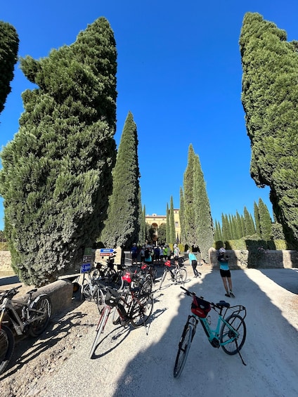 Picture 12 for Activity Siena: Guided Bike Tour of Val d’Orcia