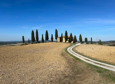 Siena: Guidet sykkeltur i Val d'Orcia