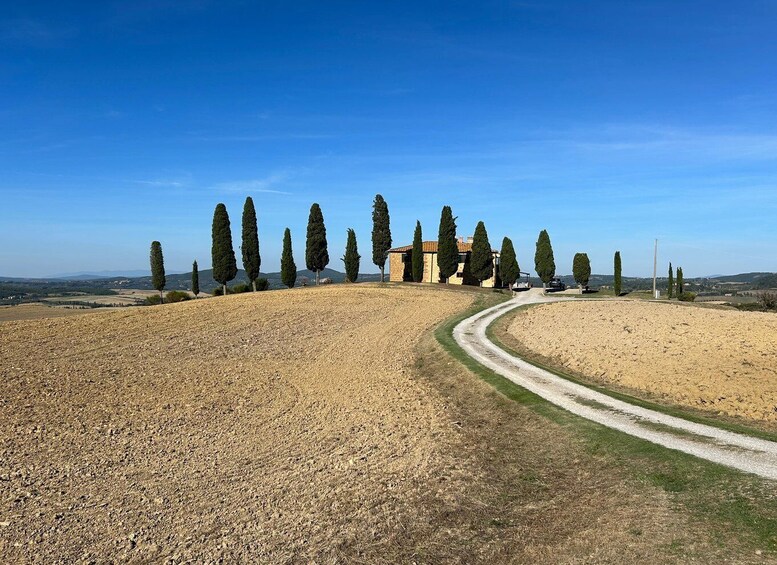 Siena: Guided Bike Tour of Val d’Orcia