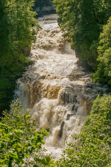 Picture 5 for Activity Hike World Heritage Reserve Waterfalls