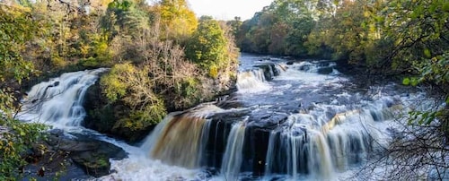 Hike World Heritage Reserve Waterfalls