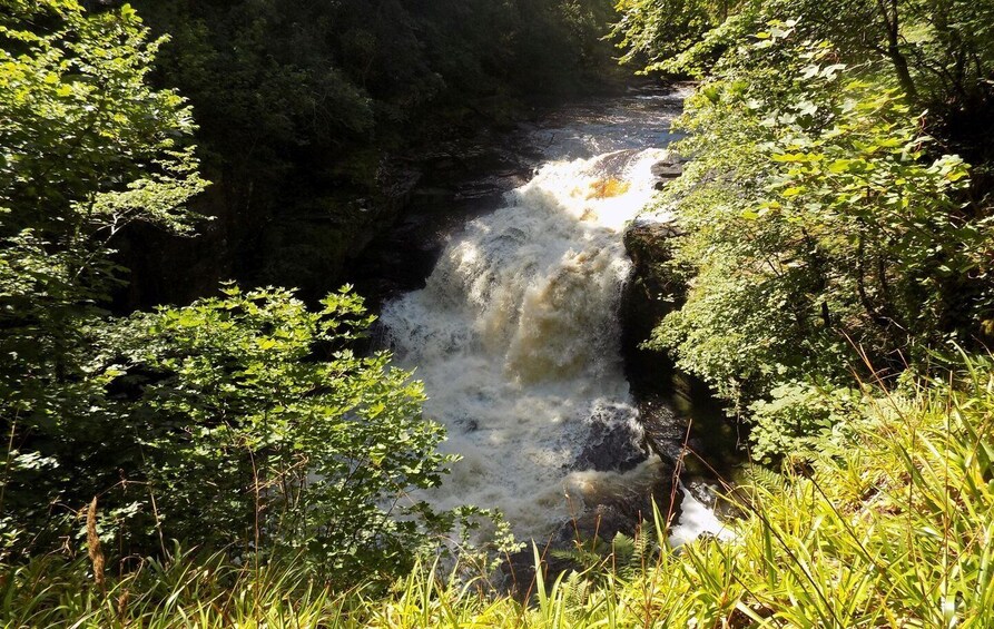 Picture 4 for Activity Hike World Heritage Reserve Waterfalls