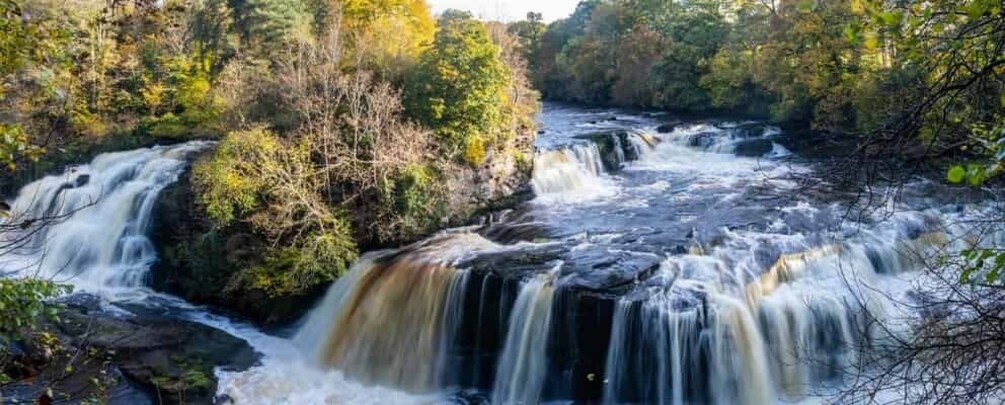 Hike World Heritage Reserve Waterfalls