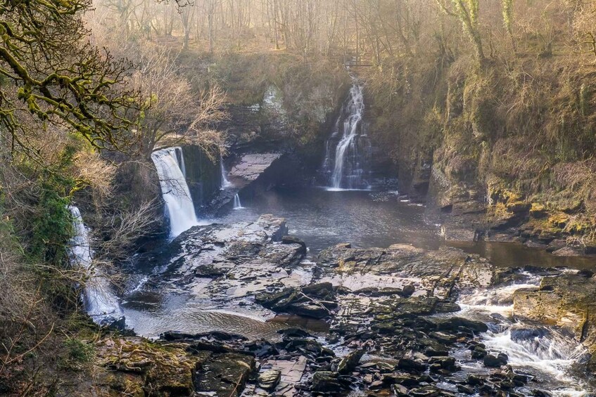 Picture 1 for Activity Hike World Heritage Reserve Waterfalls