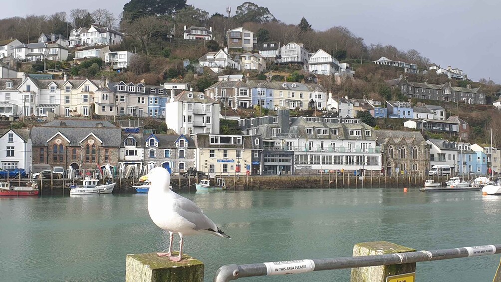 Picture 7 for Activity Looe: Beyond Paradise TV Locations Tour