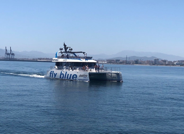 Picture 5 for Activity Málaga: Sunset Catamaran Trip