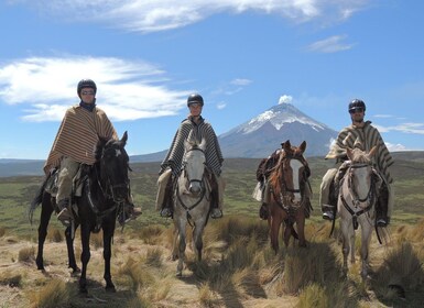 Fra Quito: Ridetur og dagstur til Cotopaxi nasjonalpark