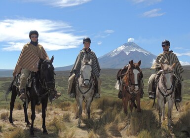 Desde Quito: paseo a caballo y excursión de un día al Parque Nacional Cotop...