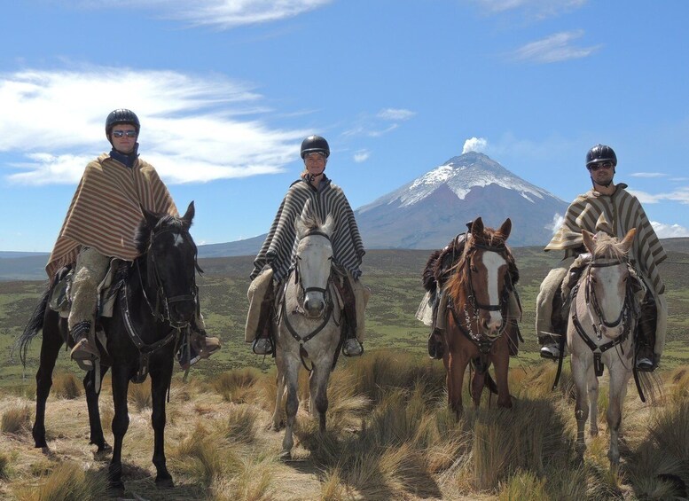 From Quito: Horseback Ride & Cotopaxi National Park Day Trip