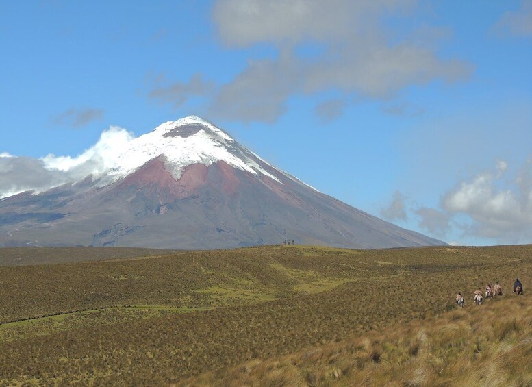 Picture 5 for Activity From Quito: Horseback Ride & Cotopaxi National Park Day Trip