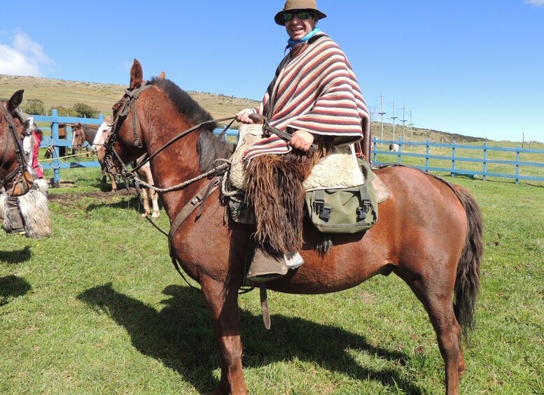 Picture 14 for Activity From Quito: Horseback Ride & Cotopaxi National Park Day Trip