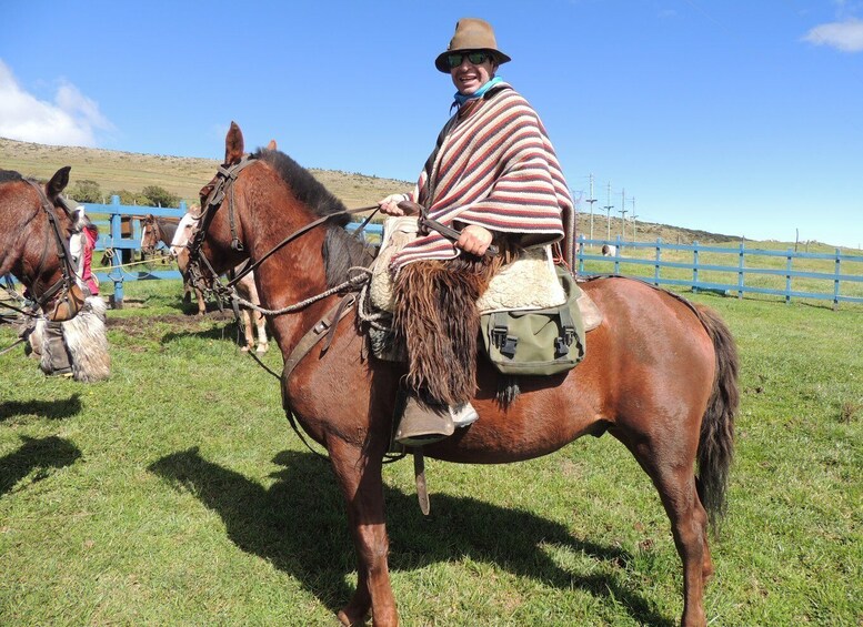 Picture 14 for Activity From Quito: Horseback Ride & Cotopaxi National Park Day Trip