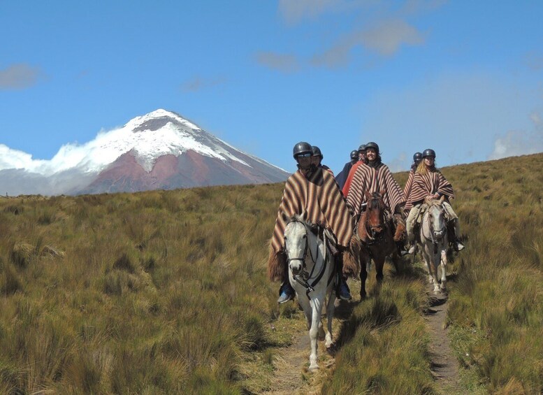 Picture 2 for Activity From Quito: Horseback Ride & Cotopaxi National Park Day Trip