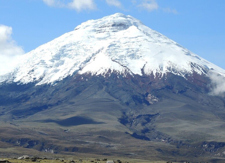 Picture 10 for Activity From Quito: Horseback Ride & Cotopaxi National Park Day Trip