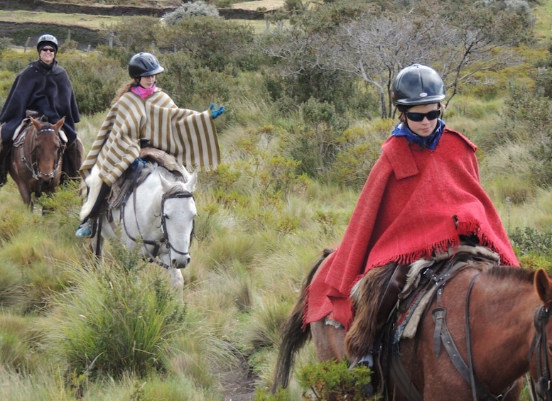 Picture 8 for Activity From Quito: Horseback Ride & Cotopaxi National Park Day Trip