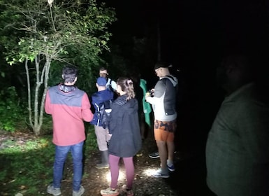 Tortuguero Night Walking Tour