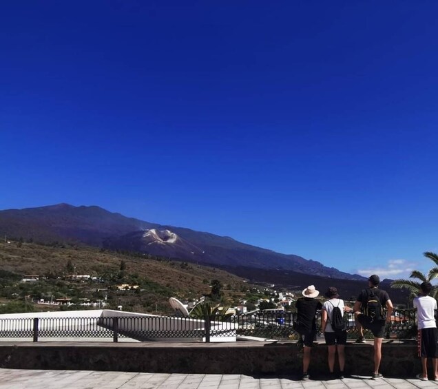 Picture 6 for Activity La Palma: Island Highlights Guided Bus Tour