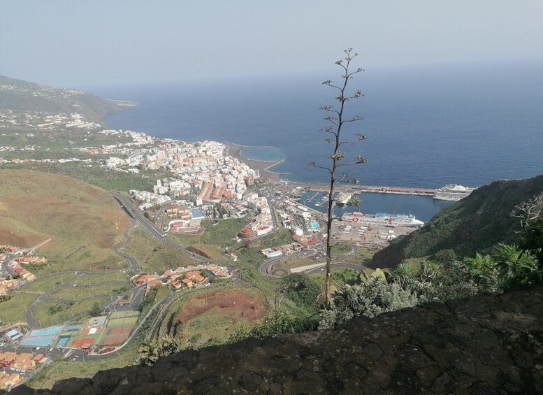 Picture 1 for Activity La Palma: Island Highlights Guided Bus Tour