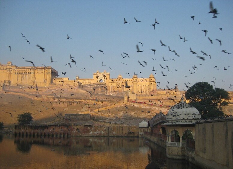 Picture 10 for Activity From Delhi: Private Jaipur & Amber Fort Guided Tour by Car