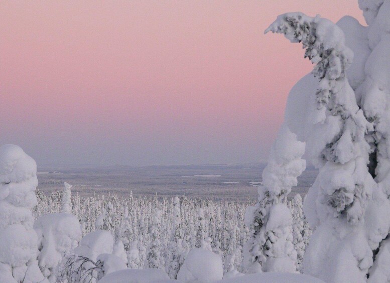 Picture 1 for Activity Vikaköngäs hiking tour to the top of the hill with BBQ