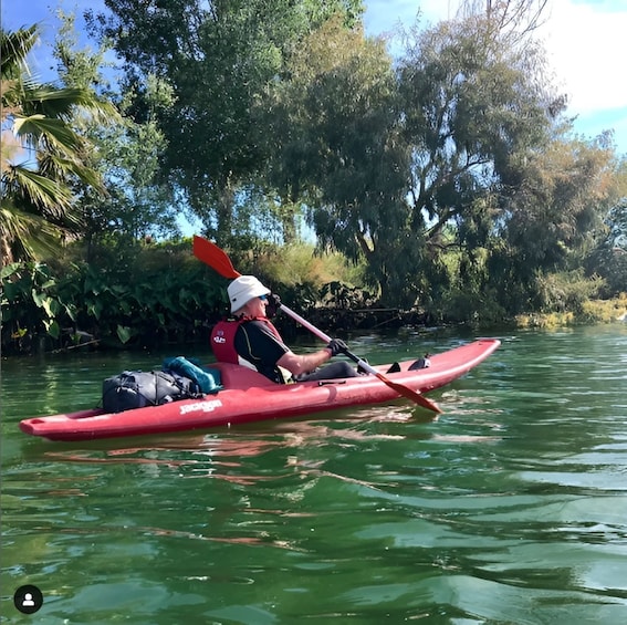 Picture 3 for Activity Tarragona: Ebro River Guided Kayaking Tour to Miravet