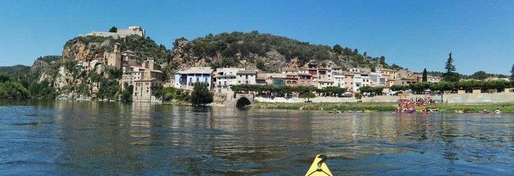 Picture 2 for Activity Tarragona: Ebro River Guided Kayaking Tour to Miravet