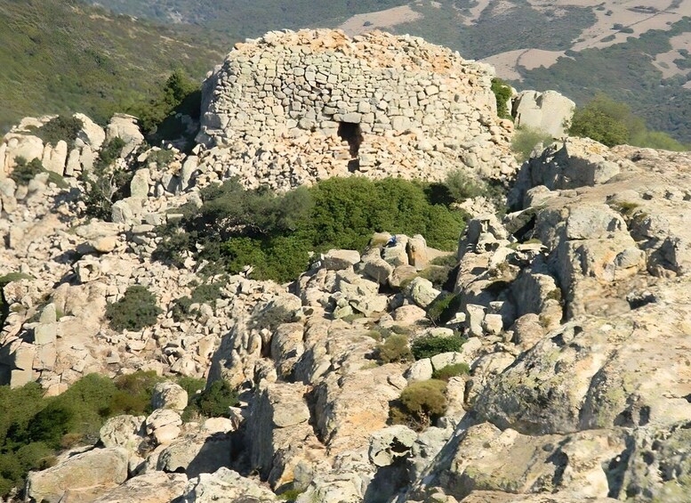 Picture 8 for Activity Cagliari: Nuraghe Adventure 5 hour Quad Tour from Domus