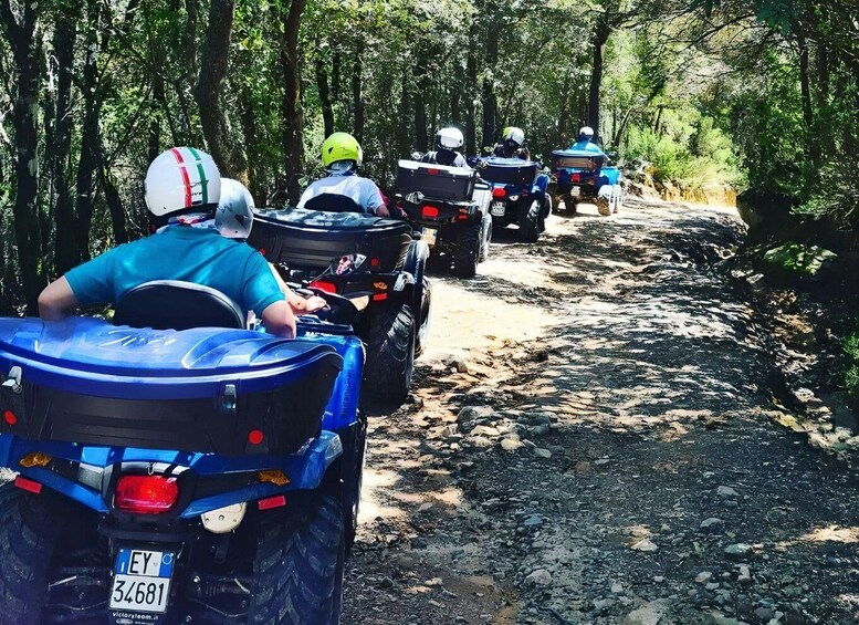 Cagliari: Nuraghe Adventure 5 hour Quad Tour from Domus