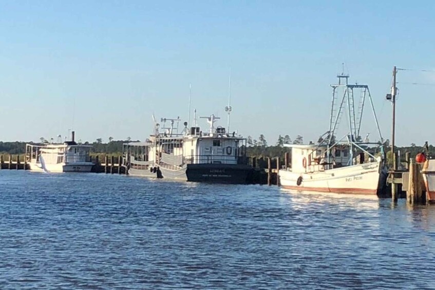 Picture 13 for Activity Bay St Louis: The Haunted Bayou Cruise