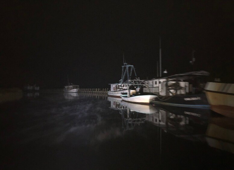 Picture 9 for Activity Bay St Louis: The Haunted Bayou Cruise