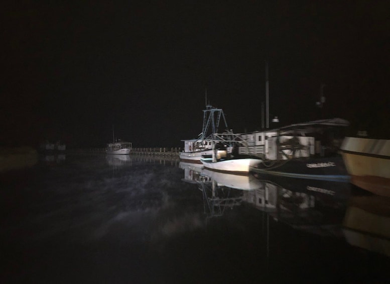 Picture 9 for Activity Bay St Louis: The Haunted Bayou Cruise
