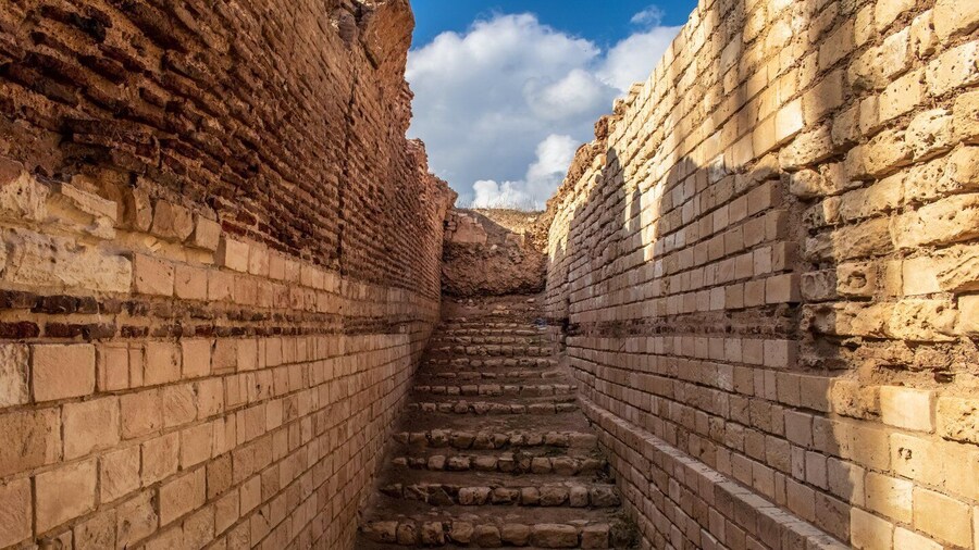 From Alexandria: Highlights of Alexandria Full City Tour