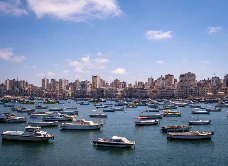 Picture 6 for Activity From Alexandria: Highlights of Alexandria Full City Tour