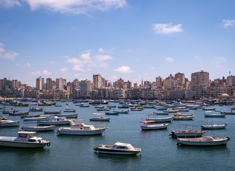 Picture 6 for Activity From Alexandria: Highlights of Alexandria Full City Tour