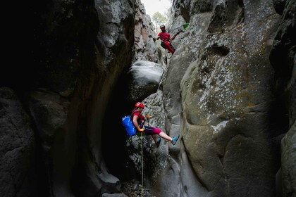 Santa Cruz de Tenerife : Vilaflor Canyoning Tour