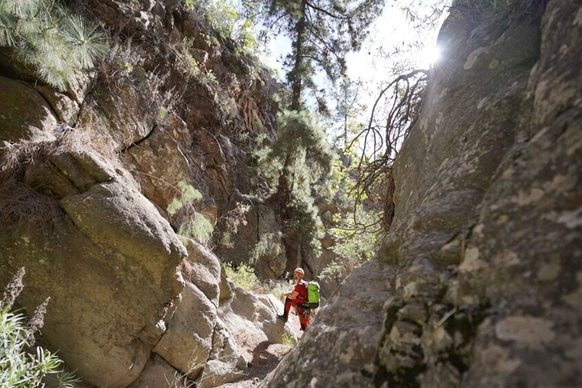 Picture 10 for Activity Santa Cruz de Tenerife: Vilaflor Canyoning Tour