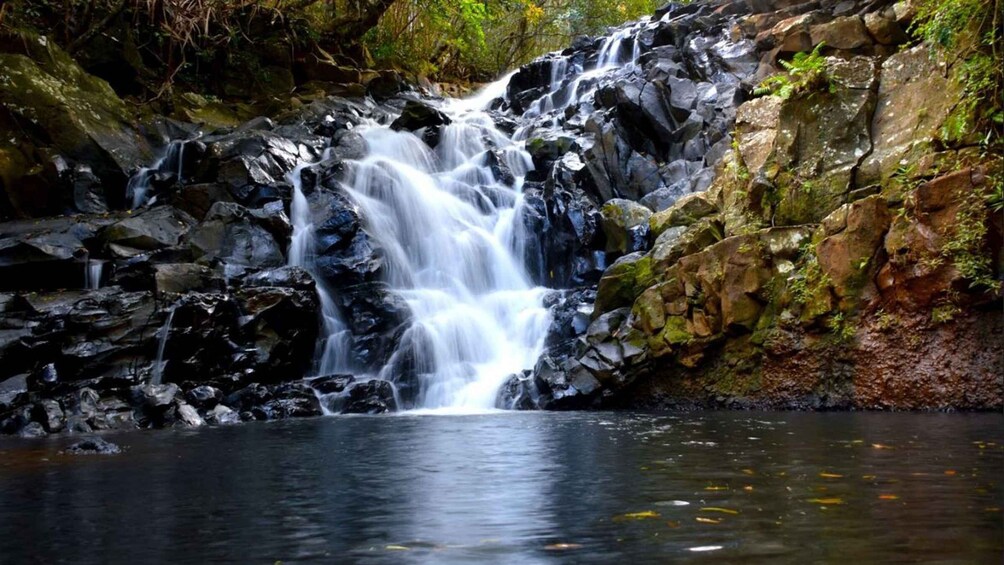 Picture 5 for Activity Mauritius: Bel Ombre Nature - Two Waterfalls Walking Trail