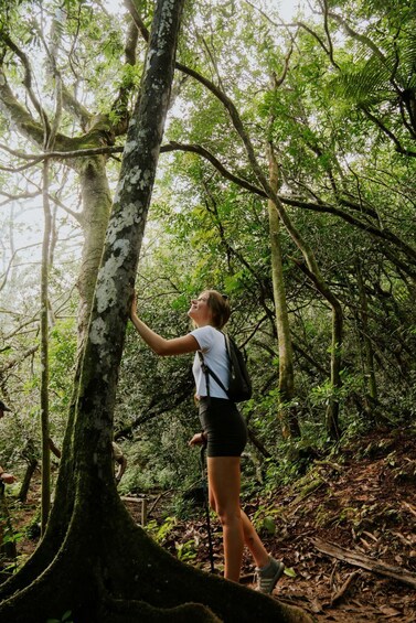 Picture 8 for Activity Mauritius: Bel Ombre Nature - Two Waterfalls Walking Trail