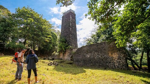 Mauritius: Bel Ombre Nature - Zwei Wasserfälle Wanderweg