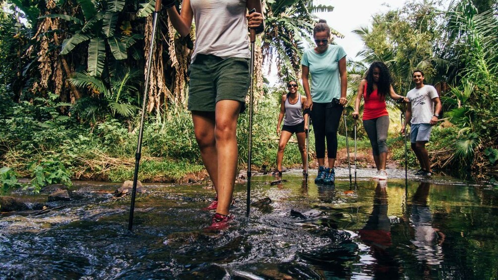 Picture 2 for Activity Mauritius: Bel Ombre Nature - Two Waterfalls Walking Trail