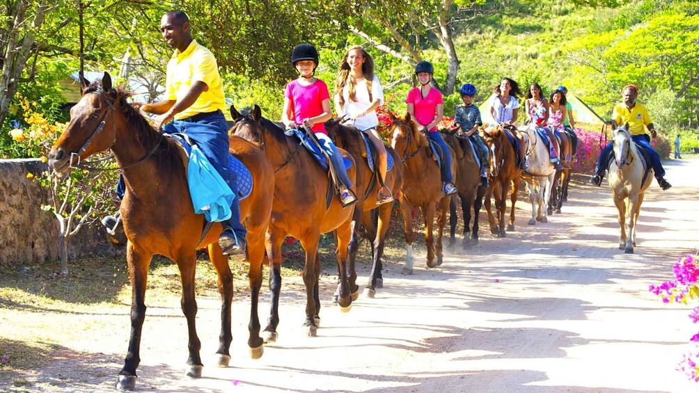 Picture 5 for Activity From Runaway Bay: Horseback Ride and Swim Countryside Tour